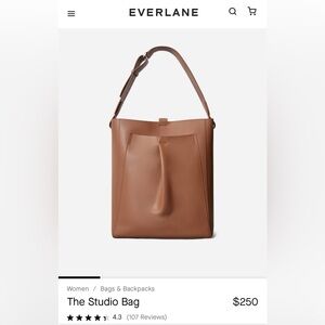 Everlane The Studio Bag